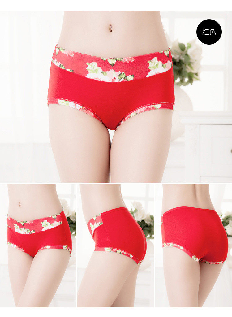 Slip Moyen-âge 061# en coton - Ref 643299 Image 19