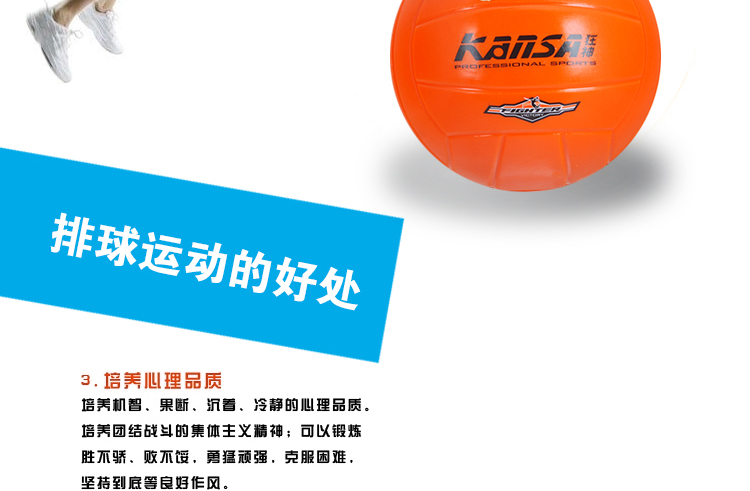 Ballon de volley - Ref 2013390 Image 7