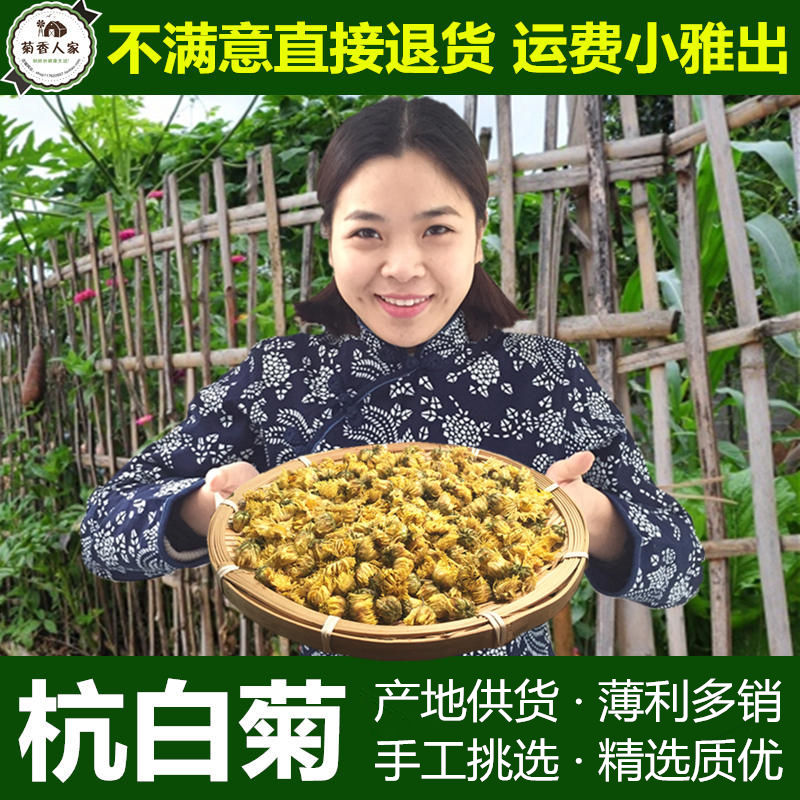 Arbitrary 4 pieces of Tongxiang origin doll Chrysanthemum Flower Hangzhou White Judaisy Chrysanthemum Herbal Tea White Chrysanthemum Tea 50g