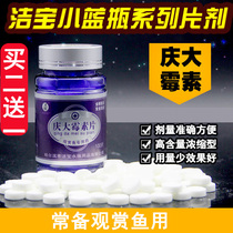 Gentamicin fish with ornamental tropical fish koi goldfish rotten gills rotten tail fried scales rotten skin black spot bleeding