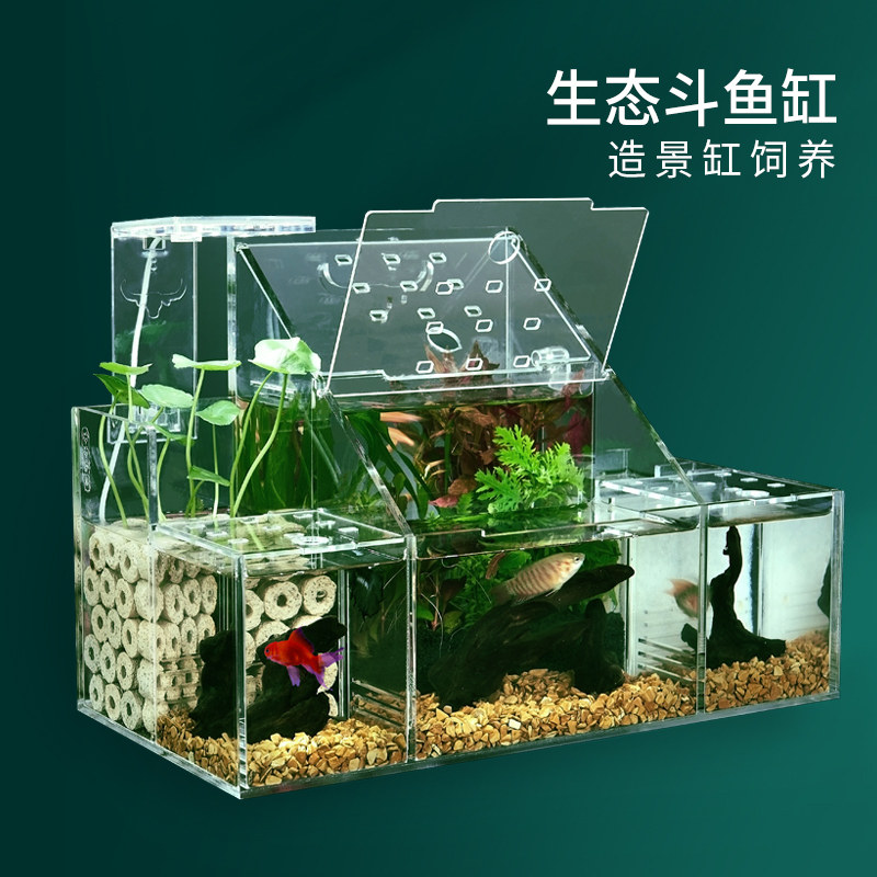 Ecological betta tank Guppy breeding and hatching special isolation box Circulating water filtration Creative desktop betta row tank