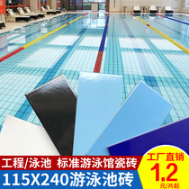 Standard training pool 115*240MM swimming pool brick blue national stadium competition pool outdoor special brick