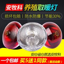 Insulation lamp Pig farm special heating bulb Chicken brood piglets heating baking lamp Warm bulb for veterinary use