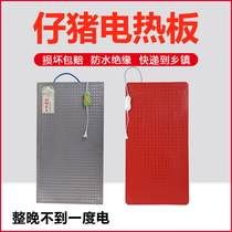 Piglet electric hot plate pig with pig farm breeding supplies pig equipment beast with stainless steel heating plate small pig insulation plate