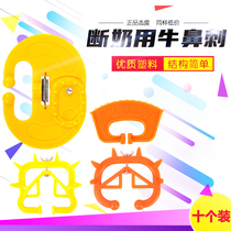 Small Bull Cream cow nose stabbing calf Calf Weaning Calf calf Calf Calf Withdrawal with Bull Nose Ring Bull and Bull Nose Ring