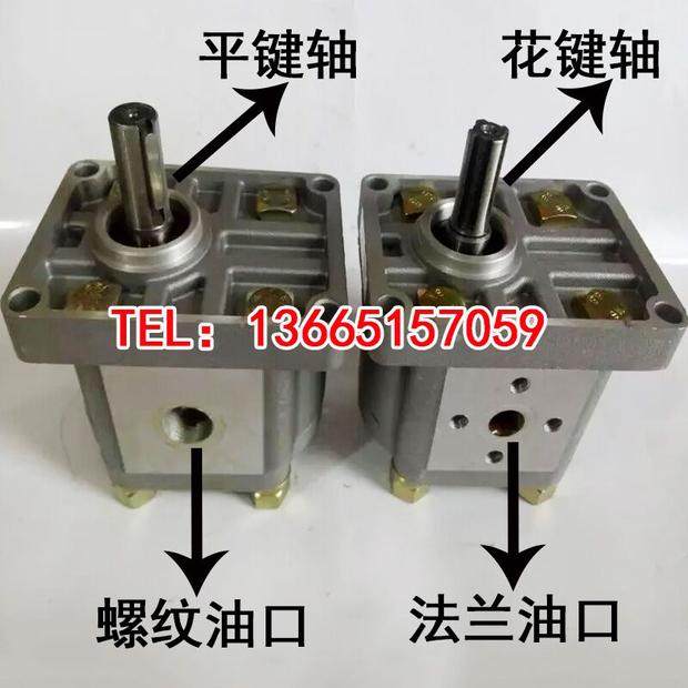 Gear pump CBN-F310 CBN-F304 CBN-F306 CBN-F308 CBN-F314 CBN-F320