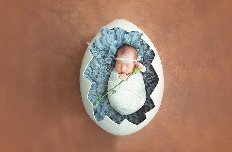 Photography Props Newborn and America Full Moon filming Props Iron Art Creative Chicken Eggshell Camera New Baby Props