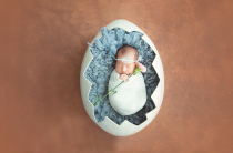 Photography props newborn European and American full moon shooting props iron creative egg shell photography new baby props