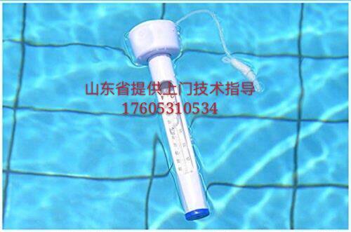 Swimming Pool Thermometer Measuring Water Temperature Constant Temperature Swimming Pool Baby Pool Thermometer Hot Spring High Precision Waterproof Thermometer