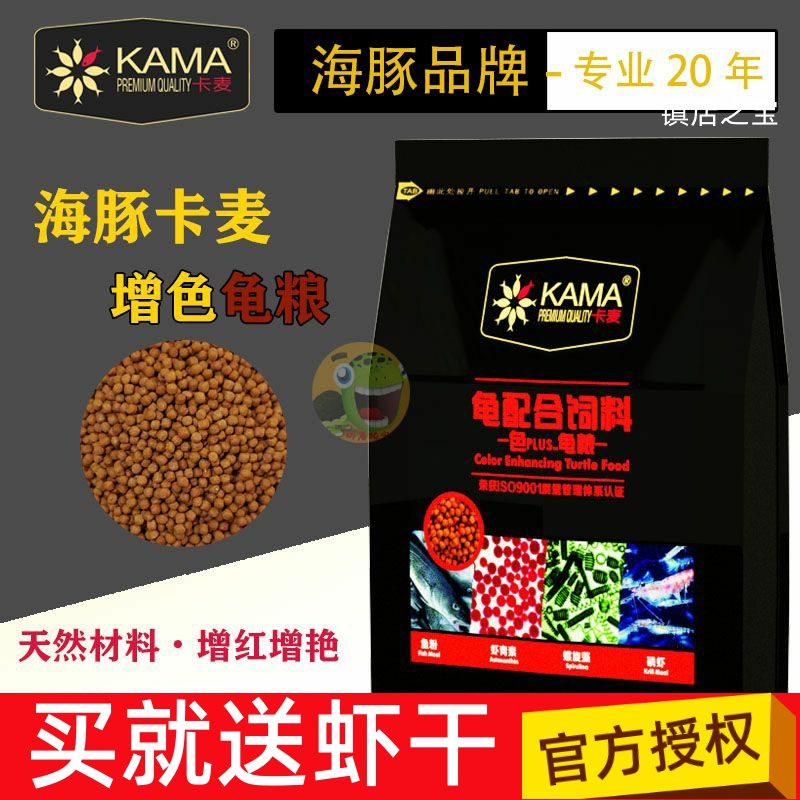 Dolphin colored turtle grain grain flame egg turtle alkamesonjade bacteria opened turtle feed