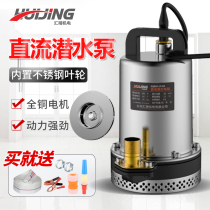 12V DC submersible pump 24V home electric bottle car 48V60V72 volt water pump small agricultural irrigation pumping water pump