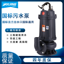 Sewage Pump Diving Sewerage Pump 380v Pumping Manure Three Phase Slurry 3kw5 5 KW 11kw High Power Lift Water Pump