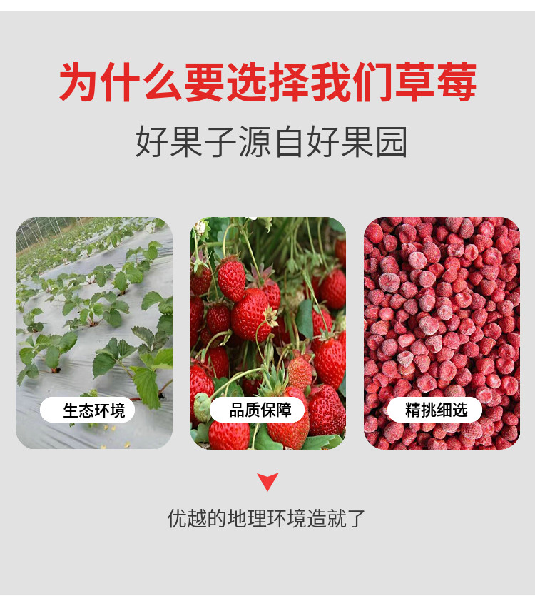 润沐溪 丹东冰点草莓 425g*3盒 无化学添加剂 图8