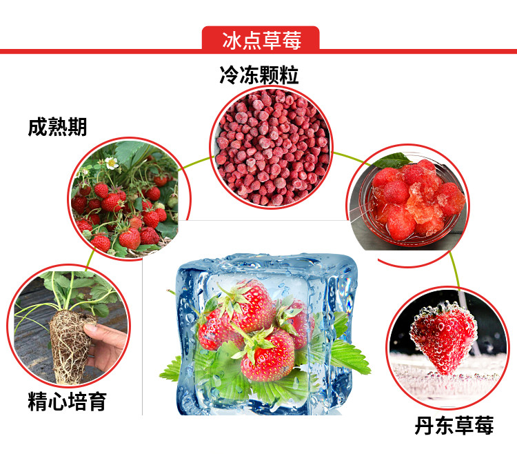 润沐溪 丹东冰点草莓 425g*3盒 无化学添加剂 图4