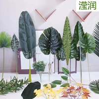 Mô phỏng lá rùa nguyên khối cắm hoa cây xanh chuối giả mùa xuân lông cây củ cải xanh lá cây bạch đàn trang trí phòng khách chụp ảnh - Hoa nhân tạo / Cây / Trái cây cây mai giả trang trí tết