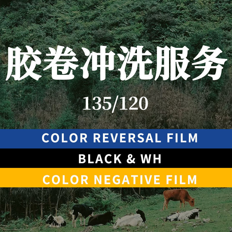 E6彩色反转片+RDP电影胶卷：复古摄影的终极配方，带你穿越时空！📸🌈-胶卷-淘宝百科网