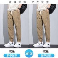 TMYC-005B Calive Color +005b Camel Color Lummer Thin Style