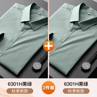 JK-CX6301H Фрукты зеленый+CX6301H Фрукты зеленые [два куска длинных рукавов]