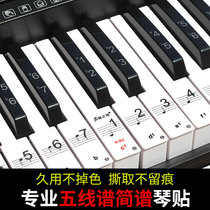 88 key 61 key 54 key keyboard sticker piano keyboard sticker staff note key number