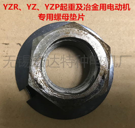 YZYZPYZR250M-8 level-37 42KW winding motor dedicated fixing screw compression nut gasket