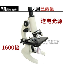 Ningbo Phoenix beast with microscope Pig Fox Insemination dedicated 1600 times monocular to send electric light source