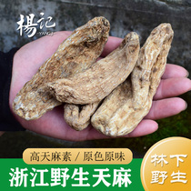 Ipan Wild Gastrodin lower imitation wild gastrodin 250g Chinese herbal medicine Gastrodia Elata