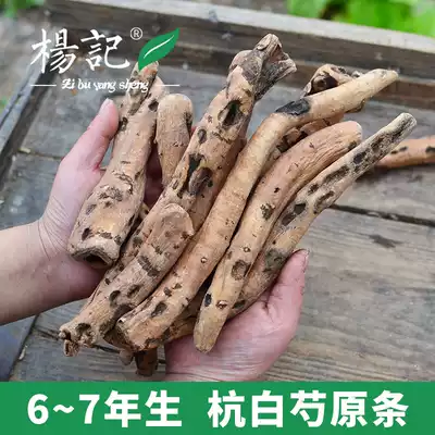 (Default release) Wild peony king 6~7 years Hangbai peony tablets 500g authentic Zhejiang white peony root