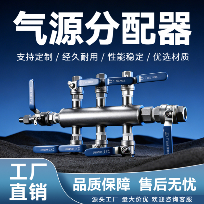 Stainless Steel Air Source Distributor, Pneumatic Component Air Distribution Block, Multi-Pipeline Air Exhaust Path, Gas Diverter Distributor