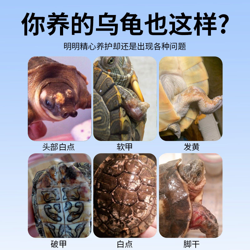 乌龟专用腐皮烂甲疥疮万能护龟液 | 水龟巴西龟白斑厌食白眼病喷雾，拯救龟龟大法好！-爬虫-淘宝好物网
