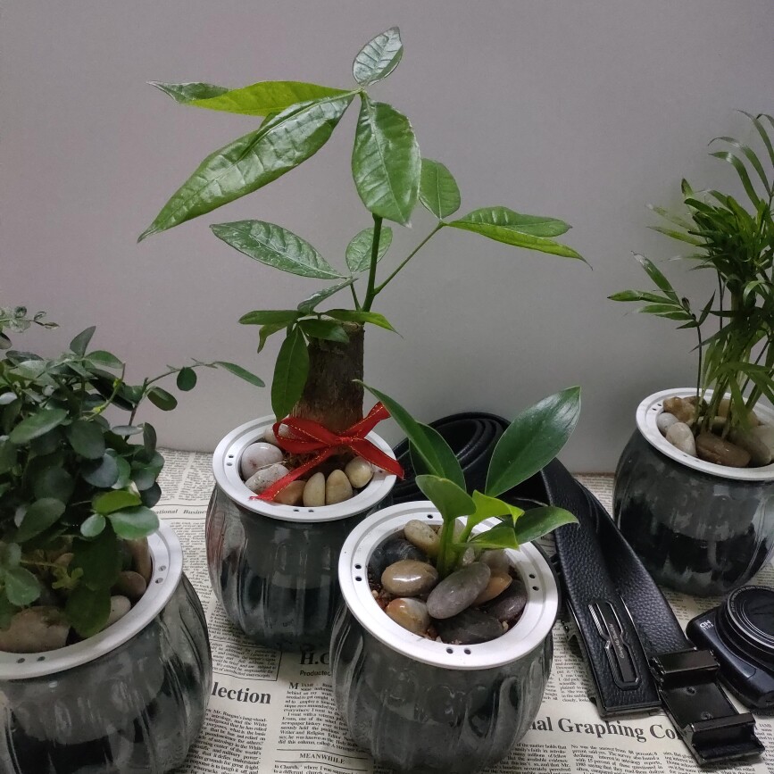 港利皮带折扣店