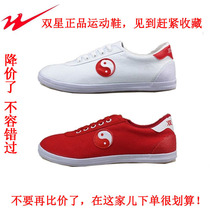 Twin Star Martial Arts Shoes Tai Chi Shoes Canvas Adults Men And Women Children Fitness Shoes Practice Shoes Bull Fascia Sneakers