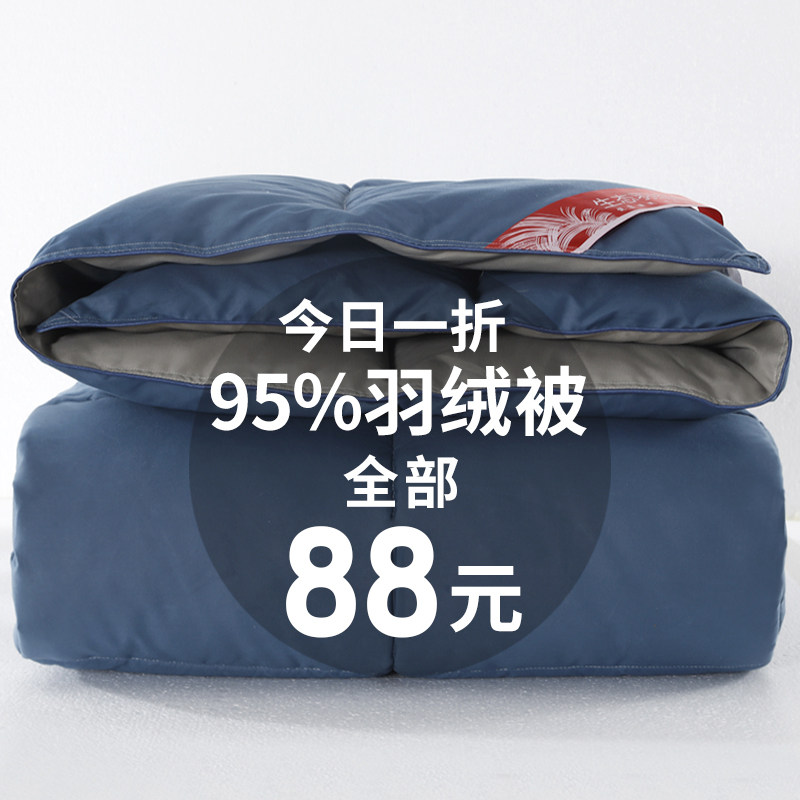 Down quilted by 95 white goose down winter quilted by quilt thickened winter 10 catty by core spring autumn by duck suede Single Dormitory Stay Warm
