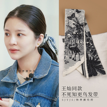 Wang Can empathy hair with immortality knowledge More bird retro style silk scarves with elegant senior thin head rope small crowdwomen