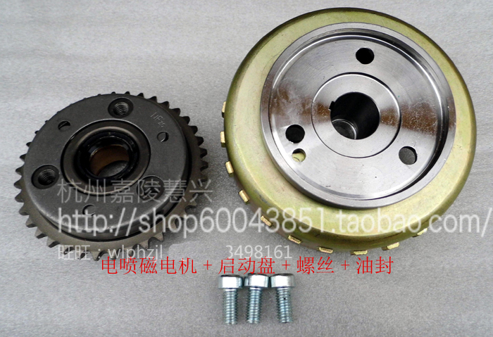 Earth Eagle King Magneto DD250G-2N DD250E-9A DD350 Starter plate EFI magneto