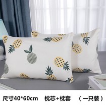 Summer cool pillow pillowcase set single pair household double single summer mat children 40*610