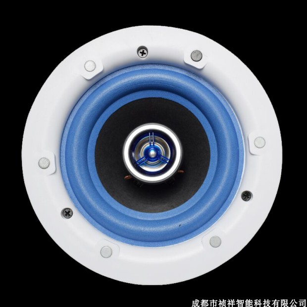 Senwang coaxial ceiling embedded fire-fighting ceiling horn background music public broadcasting wall-mounted smart speaker audio