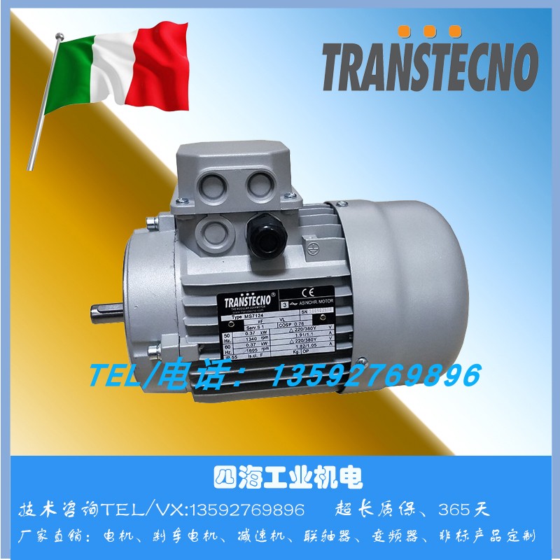 Spot Italian TRANSTECNO single-phase motor 220V MY6324 0 18KW 0 25KW