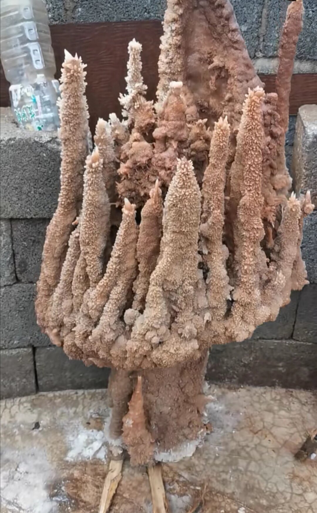 Stalactite rockery stalactite natural raw stone strange stone ornamental stone office table decoration home furnishing