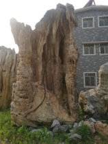 Large Bell Milk Stone Courtyard Fake Mountain Stone Head Pool Flowing Water Natural Bell Milk Stone Fake Mountain Bonsai Pendulum With View Stone