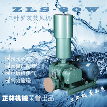 Zhenglin ZLS-80W three-leaf roots blower Sewage treatment aerator Cement plant supporting equipment