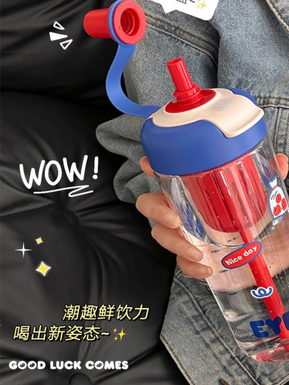 Small Tea Diary Double Drinking Cup Summer Large Capacity Girls' High-Quality Plastic Cup Straw Cup Student Portable Cup