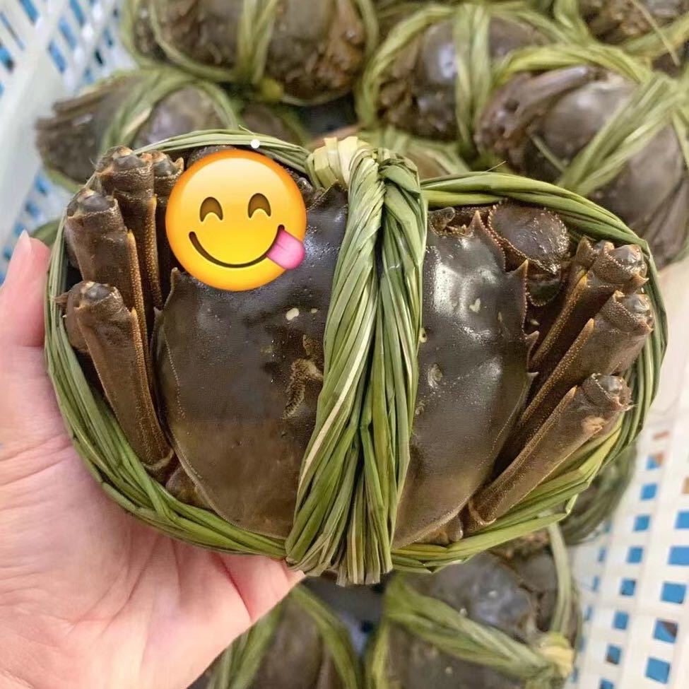 南京固城湖蟹大大