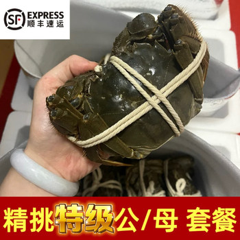 Jiangsu gucheng lake hairy crab fresh extra large crab male crab female crab