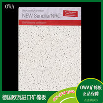 OWA mineral wool board Germany import Oval suction sound board 600x600 cosmic pinhole sandblasted minster office decoration