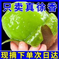 Authentic Shaanxi Xu Xiangkiu Monkey Peach When Season Fresh Pregnant Woman Fruit Green Heart Chic Exotic Fruits Now Off 10 catty airlift