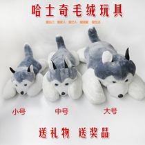 Husky doll dog pillow single dog plush toy cute rag doll Big Doll Gift award