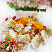 Natural conch shell whistle sea cucumber small snail childrens toy lanyard blowing snail craft prize gift recommendation
