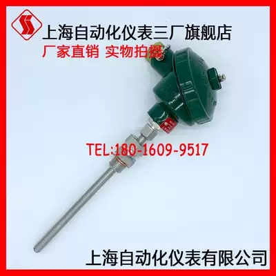 Shanghai Automation Instrument Third Factory WZPK-336 pt100 armored thermal resistance WZPK-335
