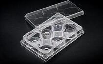 Glass bottom 20mm laser confocal 6-well plate Glass bottom cell petri dish 6-well plate confocal petri dish sterile