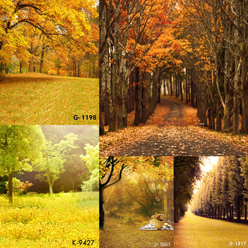 Small cloth photo bjd doll photography model background cloth soldier model forest trail autumn maple deciduous forest forest